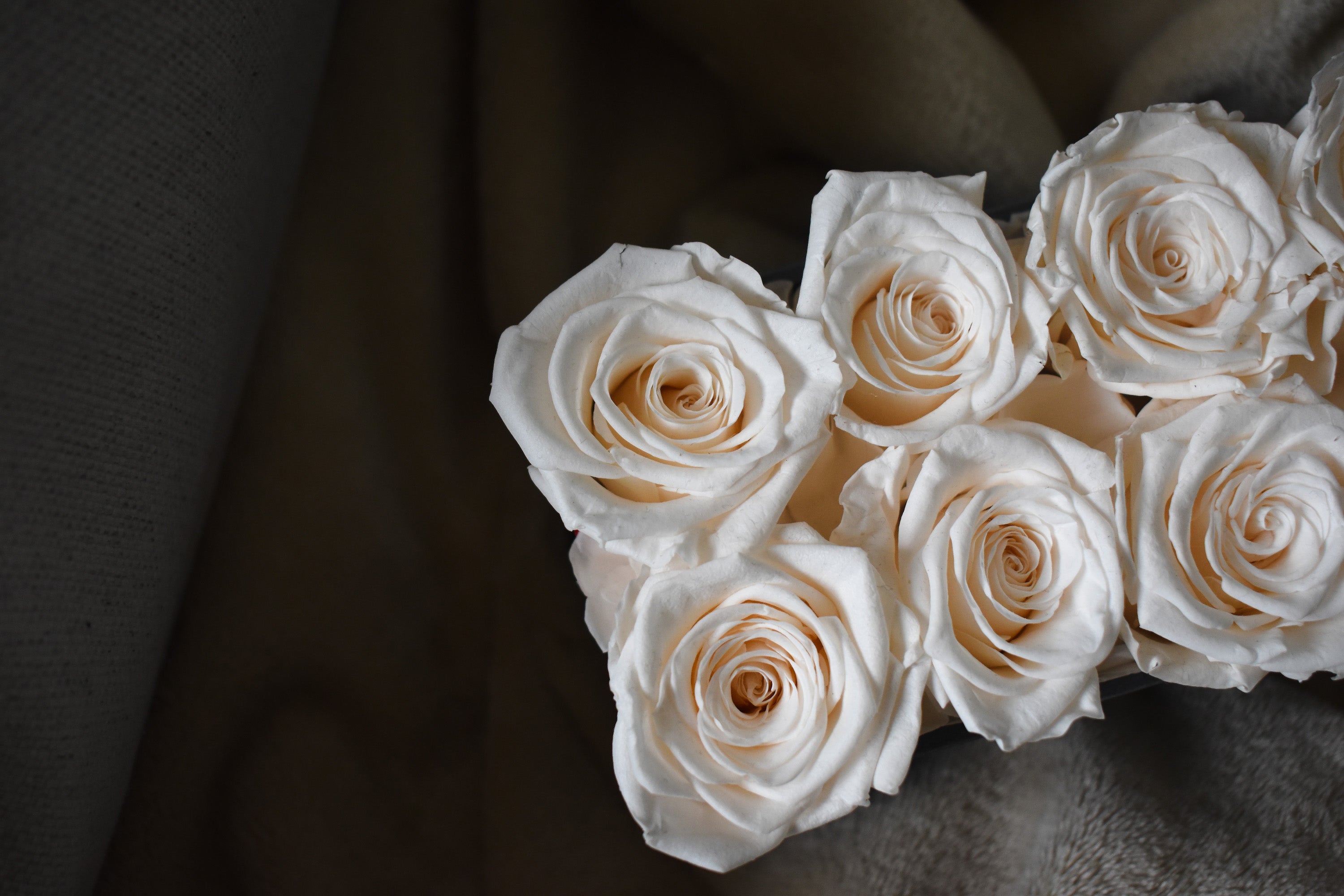 Roses 8 Roses 8 roses centerpiece – buybuysashimi