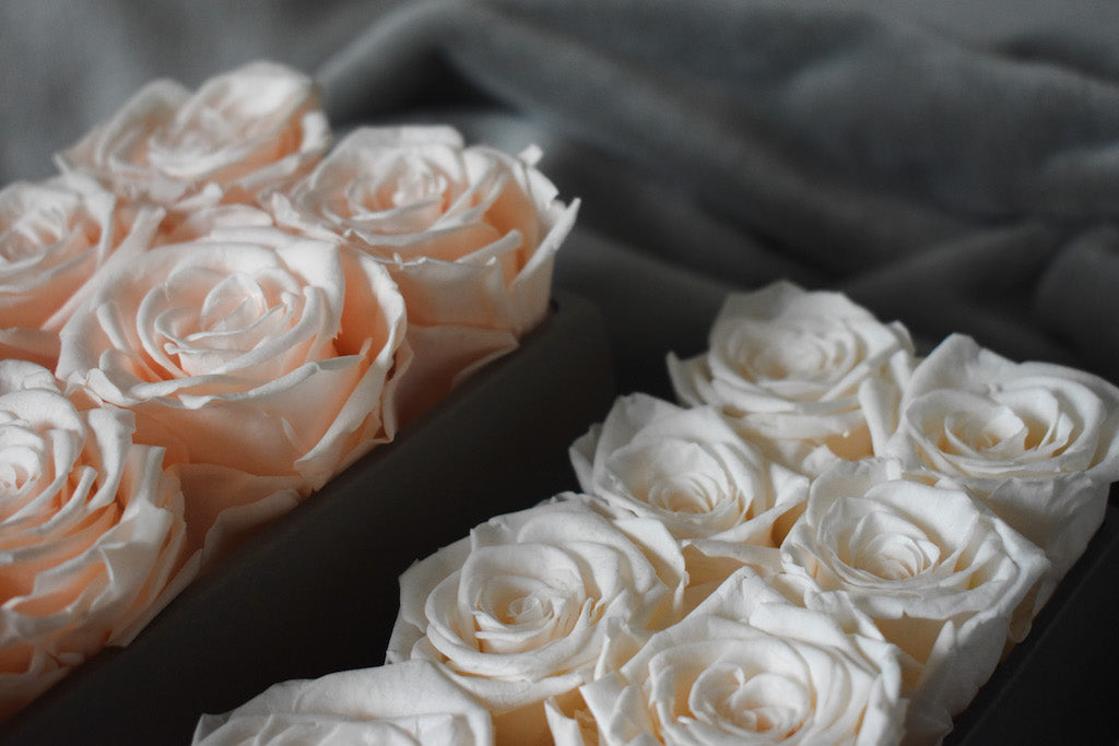 Roses 8 Roses 8 roses centerpiece – buybuysashimi